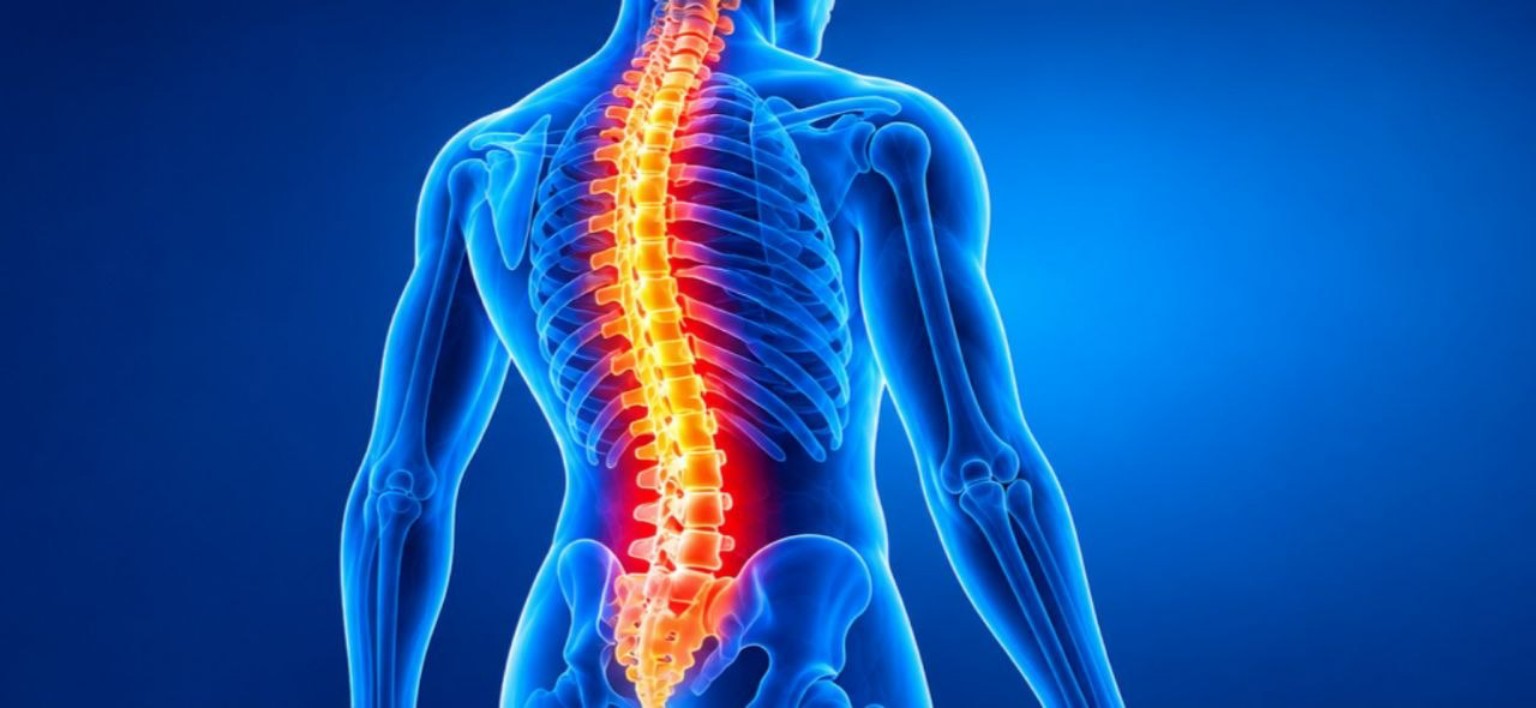 Spine medical illustration